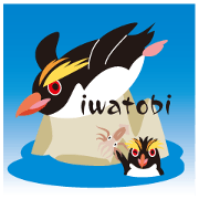 The penguin which is the yellow feather2