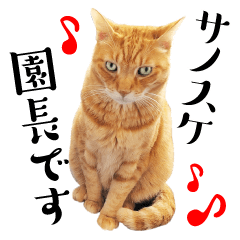Sticker for help cats Principal Sanosuke