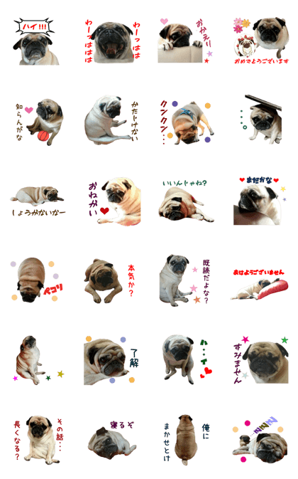 Real DOG Pag-RIKI-