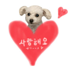 risa_20210216185120