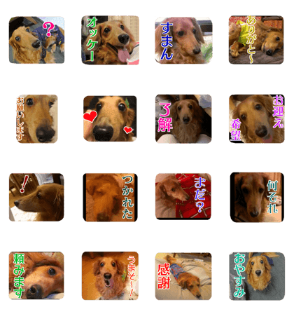 KINTA MY LOVE