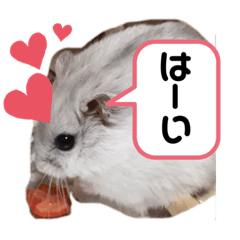 haruna_20210219170232