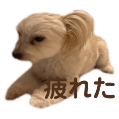 smile_20210219173823