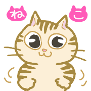 MMM Cats-2