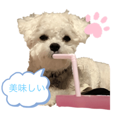 nanami_20210219175432