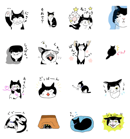 Tuxedo cat SOFU