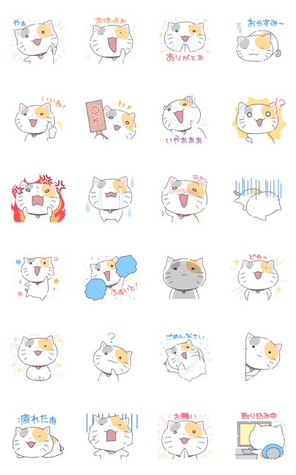 Tama cat sticker