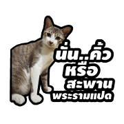 Gangster Manote