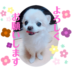 Ayumi_20210219204126