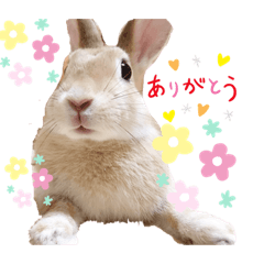 junko_20210219210051