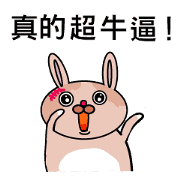 Funny cat and scars rabbit