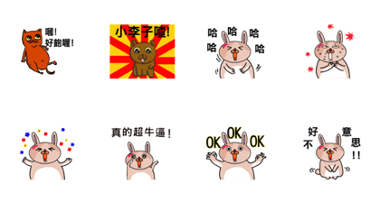 Funny cat and scars rabbit