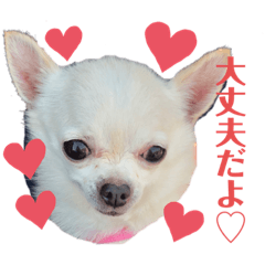 Ayumi_20210220004926