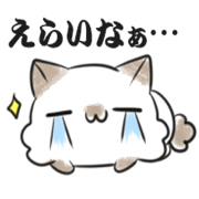 Praise cat1