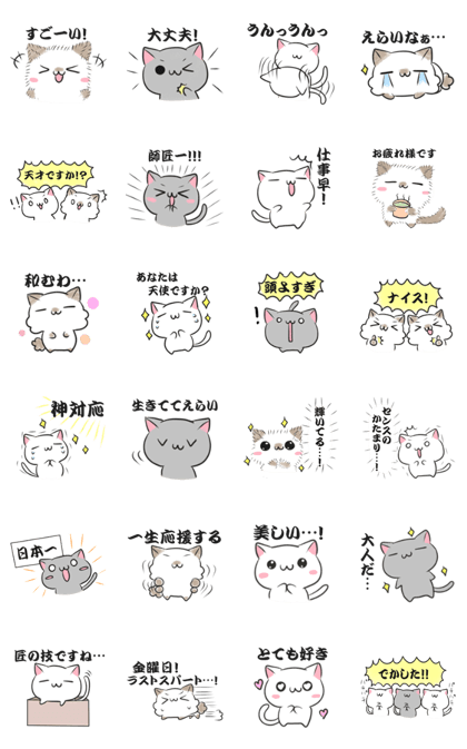 Praise cat1