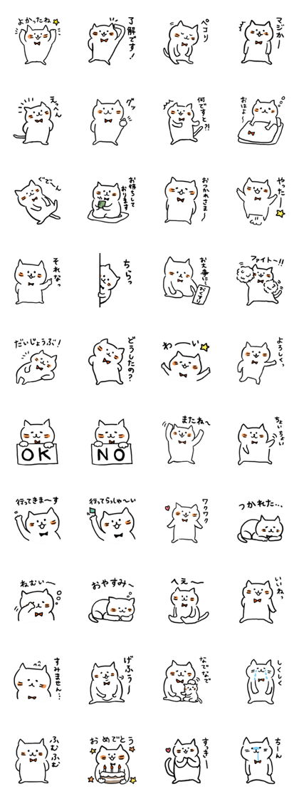 Cat easygoing