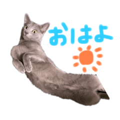 akiko_20210219172817