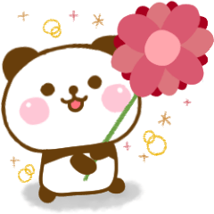 Panda Kota Cute Adult