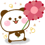 Panda Kota Cute Adult