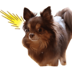 kanae_20210219211440