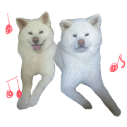 Akitainu Friends