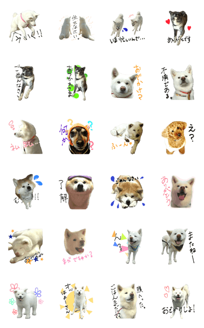 Akitainu Friends