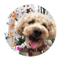 マーティ8スタンプ