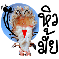 Cute Grilled Big Shrimp