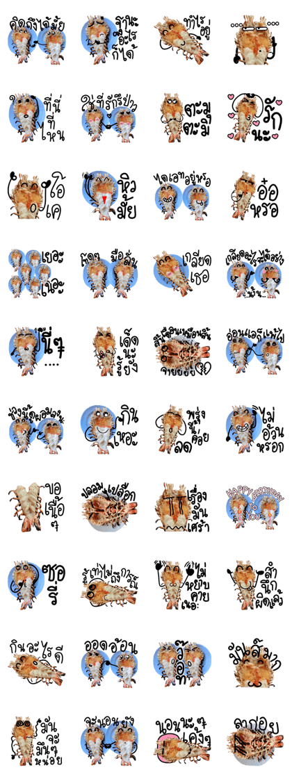 Cute Grilled Big Shrimp