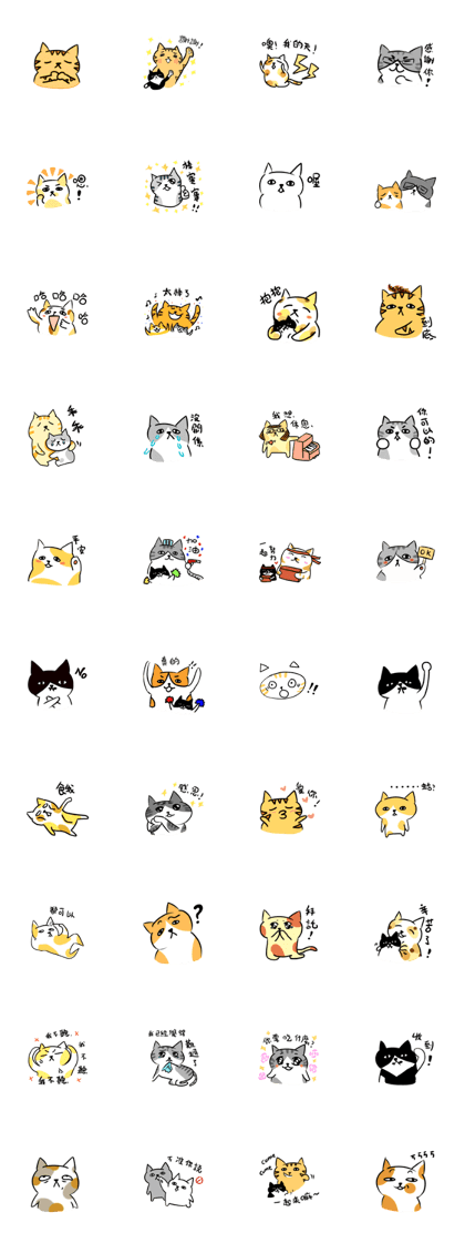 ALLLLL IS CAT