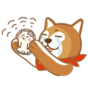SHIBAdog and Hedgehog
