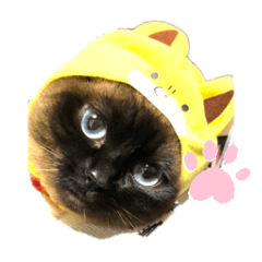 matsu_20210219234941