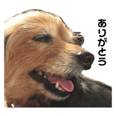 kazuki_20210219231828