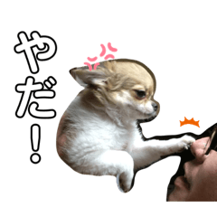 miki_20210219233410