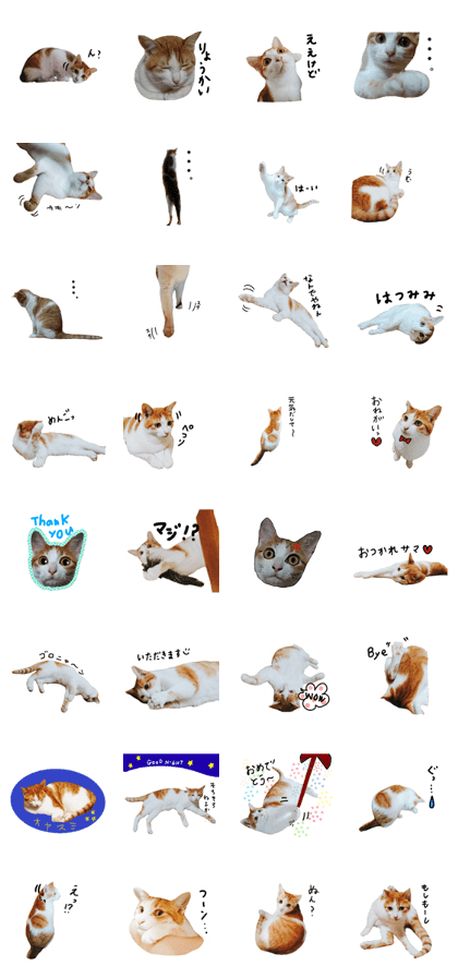 POPO-Neco