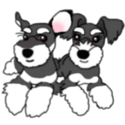 ASTER & LYZA