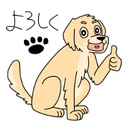 Cute Golden Retriever