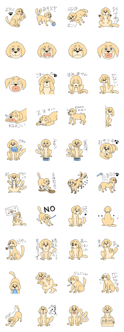 Cute Golden Retriever
