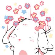 Rabbit Lovely Lifestyle