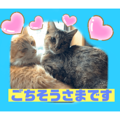 Tinytot_20210219224738
