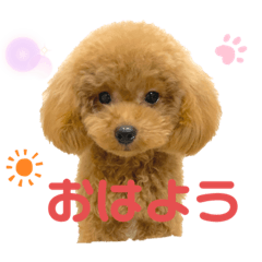 Hikari_20210219224450