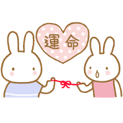 The rabbit which loves husband