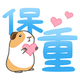 Guinea pig characters-2