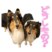 HAIJI'S Sticker