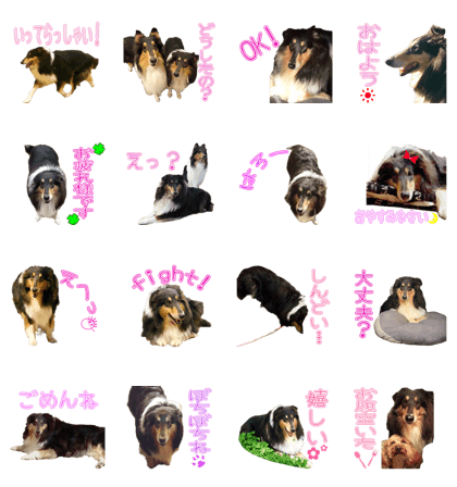HAIJI'S Sticker