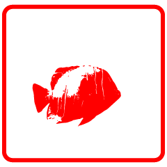 seal-style fish2
