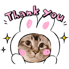 ayumi_20210220114552