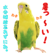 yuzunichi vol.2