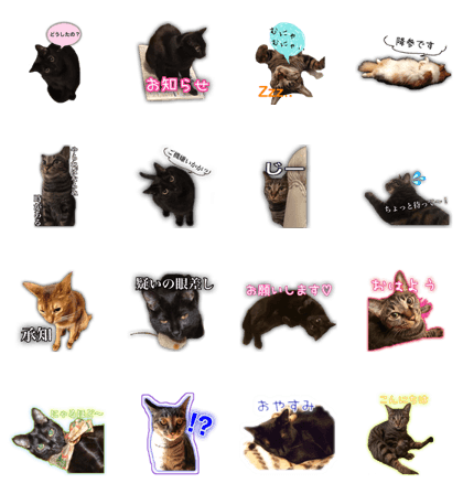 ieneko stamp -Sometimes, stray cat-