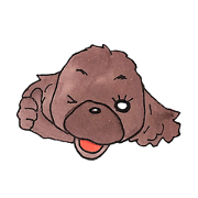 Azuki cutie toy poodle sticker vol.1